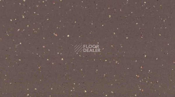 Линолеум Taralay Premium Compact Indiana 8057 SOCOTRA фото 1 | FLOORDEALER